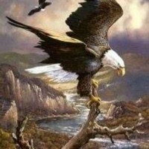 Meet your Posher, Pam